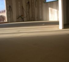 Dans le s&eacute;jour