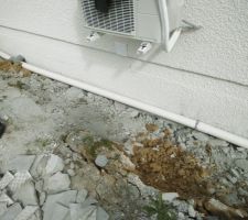 Gravats dans le vide sanitaire