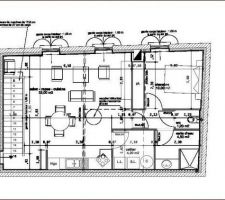 Plan projet R+1