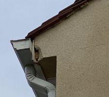 Morceau crépis tombé