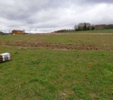 Terrain Balisé par géomètre emplacement maison.