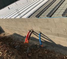 Vide sanitaire