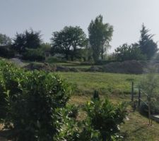 Vue du terrain &eacute;loign&eacute;e - ensemble des lots du lotissement