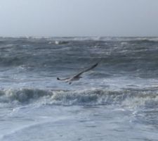 C'est l'hiver les premières tempêtes.
