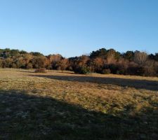 Vue dégagée sur arrière de la maison.