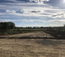 Esquisse de notre future all&eacute;e