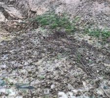 Notre jardin inond&eacute;