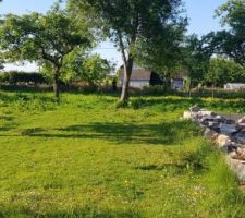 Photo prise &agrave; la 1 ere visite mai 2019