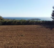 Préparation du jardin en vue de semer le gazon