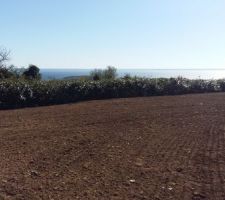 Préparation du jardin en vue de semer le gazon