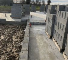 Ils ont commencer le 16 mars, malheureusement la crise sanitaire actuel a obligé Gueudry à stopper le chantier pendant 15 jours. Quelle surprise de les avoir vu repris (en prenant des gestes barrières) aujourd?hui la maçonnerie a bien avancé. En espérant qu?il soit présent Demain. Par contre les fournisseur de Gueudry n?ont pas encore repris et il risque de manquer de matériaux (fenêtre tuiles volet ... ) on risque de perdre encore quelques semaine mais crise oblige .