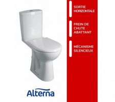 WC tout simple .... on a hésité avec un suspendu mais la plus value était trop importante et j'ai eu peur de difficultés à intervenir en cas de fuite ou autre panne ...