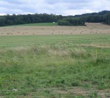 Terrain viabilsé.Notre future vue :)