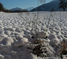 HIVER 2010