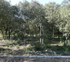 Terrain vue de la rue