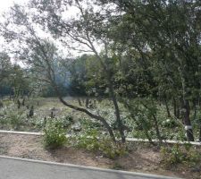 Vue de la rue, "nettoyage" en cours