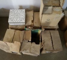 Carreaux de ciment fournis pour la pose dans la salle de bain (sans auréoles)