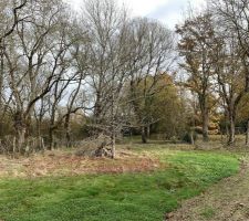 Le terrain 2 mois avant le d&eacute;but des travaux.