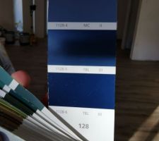 Couleur bleu pour nos WC