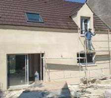Crépis en cours