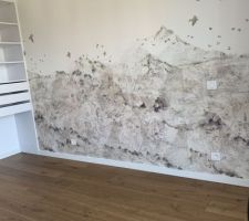 Papier peint Paper Mountain de Rebel Walls pour notre numéro 3.