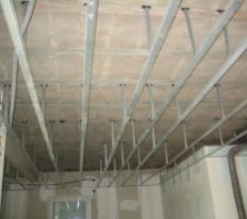 Pose suspente plafaond.(nous avons choisi de laisser les plafonds finis à 2m50)les maçons avaient prévus plus haut..°