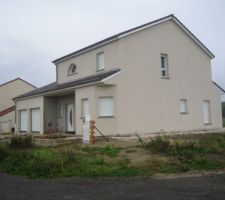 Crépis blanc