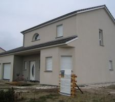 Crépis