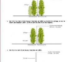 Reglement du terrain