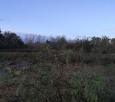 Terrain en friche
