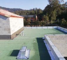 La pelouse et nous avons anticipé avec des supports sur des peut être futur panneaux solaire
