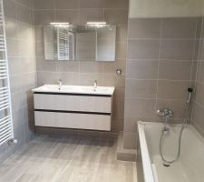 Double vasque SDB posé  ainsi que le miroir