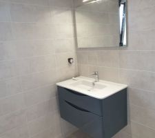 Vasque SDE posé  ainsi que le miroir. Manque une colonne a  poser pour créer plus de rangement