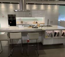 Cuisine aperçue chez ikea   et j'ai eu le coup de coeur