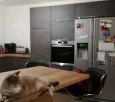 Montage cuisine