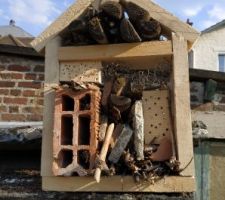 Maison à insectes