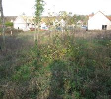 Encore une du fond du jardin vue sud ouest