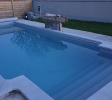 Enfin la remise en route de la piscine aujourd'hui maintenant on attend l effet du chlore choc ....et après le traitement habituel. ???