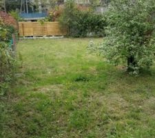 Vu planche intermédiaire et inferieur