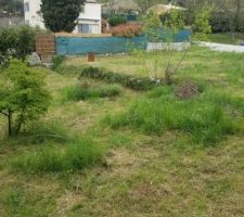 Vu planche intermédiaire et inferieur