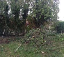 "muret" de d&eacute;limitation de terrain recevant sur elements de pilliers des panneaux bois ocultant en remplacement d'une bache sur piquets d'origine