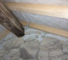 D&eacute;tail suspente et panne fa&icirc;ti&egrave;re