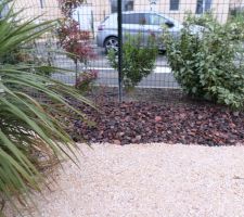 Voici quelques photos de notre petit jardin réalisé par un paysagiste.
les deux oliviers étaient déjà sur place les autres plantes fournies par le paysagiste. Il manque les brises vue .