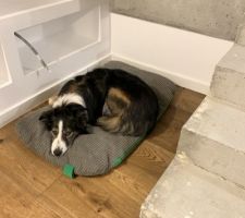 Notre Louloutte a trouvé sa place. Elle y est bien <3.