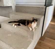 Notre Princesse aussi a trouvé sa place.