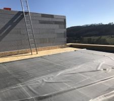 Epdm