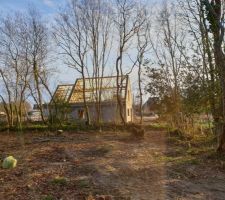 Pr&eacute;paration du terrain, &eacute;lagage et abattage des arbres