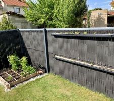 Potager et gouttières de fraises