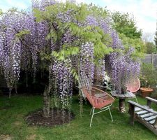 Certains jardins ressemblent a des petits paradis