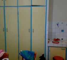 Je veux enlever le placard que la moitier comme ca je gagnerais de l'espace pour mettre mon frigo. la cuisine en tous fais 3.40*3.95.